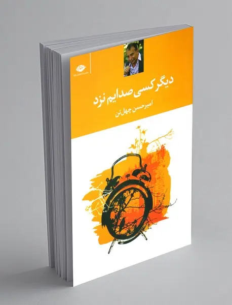 دیگر کسی صدایم نزد