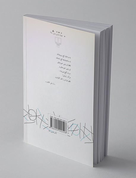 اسکی روی شیروانی‌ها