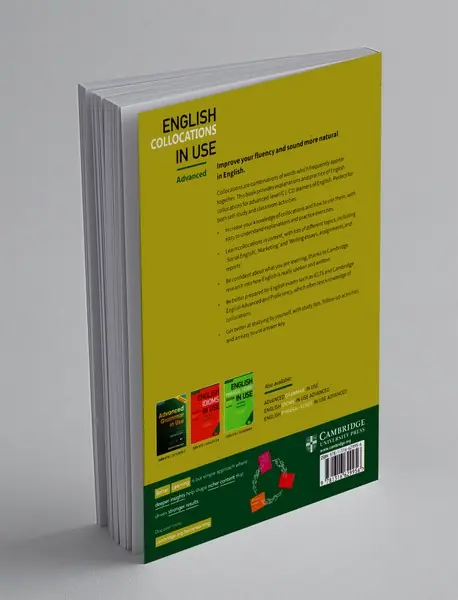 English Collocation in Use Advanced