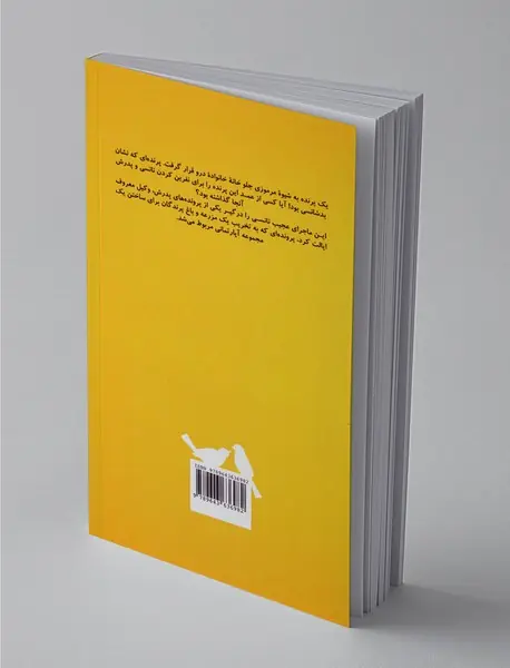 ماجراهای نانسی درو 14