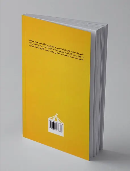 ماجراهای نانسی درو 13