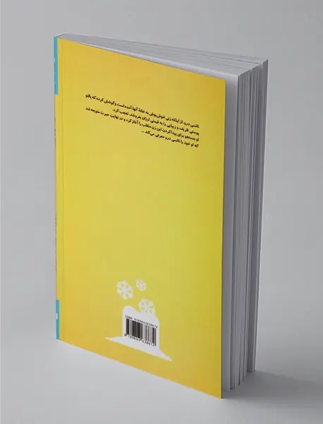 ماجراهای نانسی درو 12