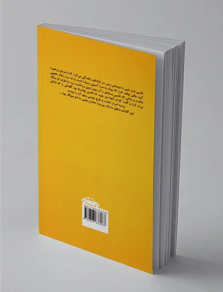 ماجراهای نانسی درو 9