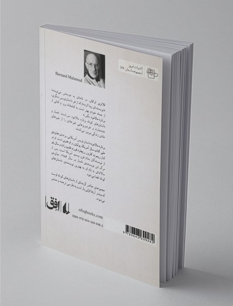 کفش های خدمتکار