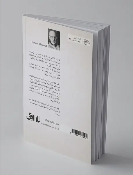 کفش های خدمتکار