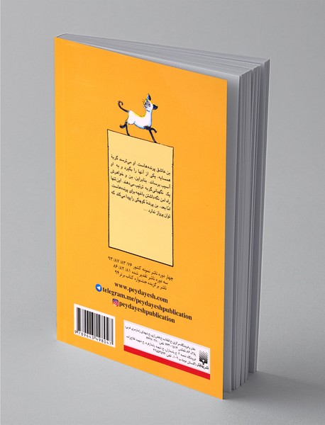 مراقب گربه باش