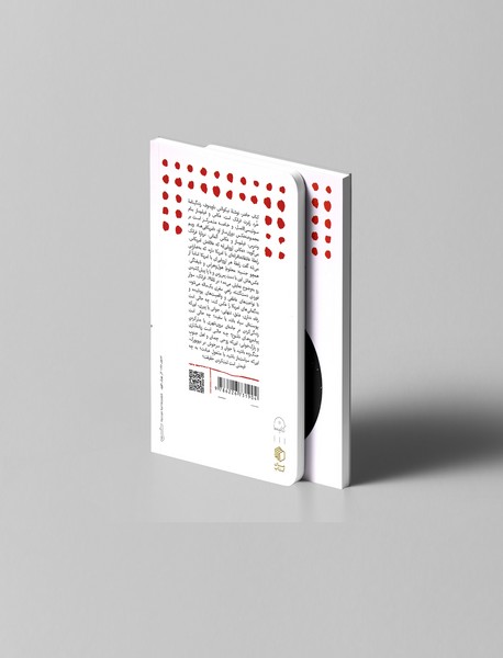 امریکا دیده