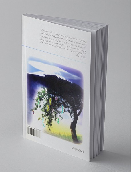 در جستجوی حقیقت