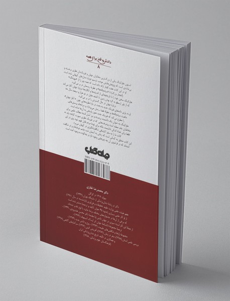 نظریه‌ای برای همه چیز