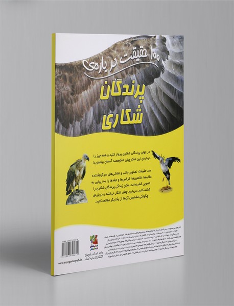 100 حقیقت درباره‌ی پرندگان شکاری