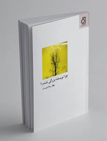 چرا نویسنده‌ی بزرگی نشدم؟