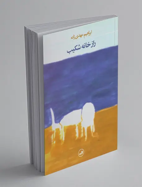 راز خانه‌ی شکیب