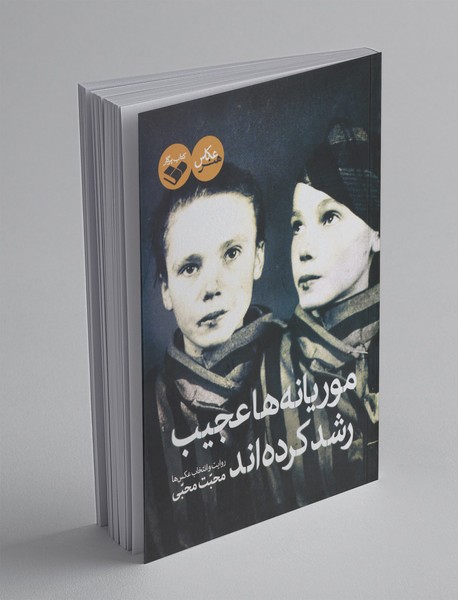 موریانهها عجیب رشد کردهاند موریانهها عجیب رشد کردهاند