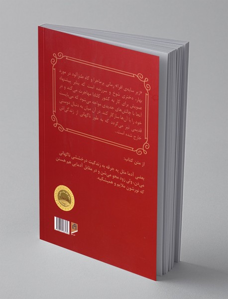 زیر سایه ی افرا