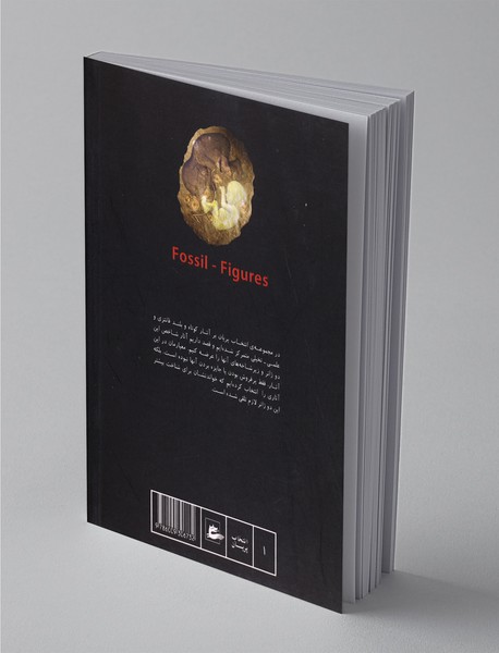 تصاویر فسیلی