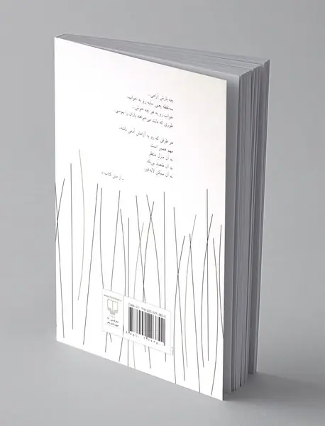 شبانه ها در غیاب احمدشاملو