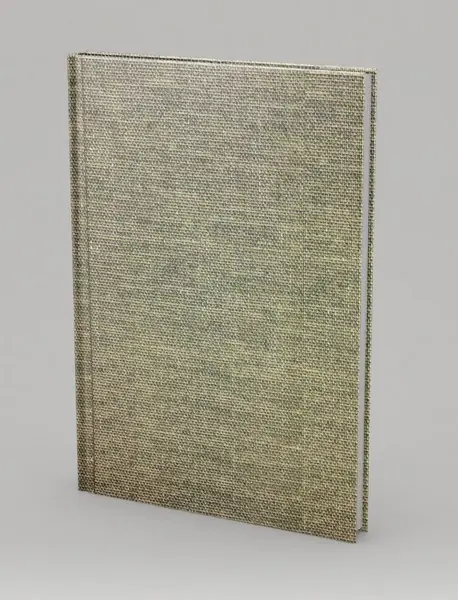 فرهنگ روز سخن