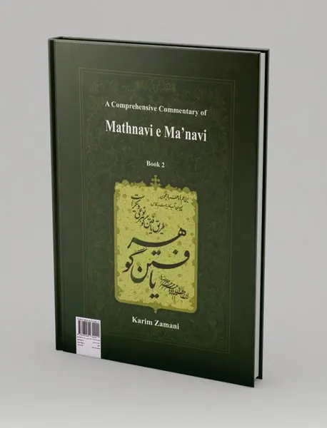 شرح جامع مثنوی معنوی - دفتر دوم