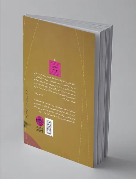 داستان جنگجو و دوشیزه‌ی اسیر