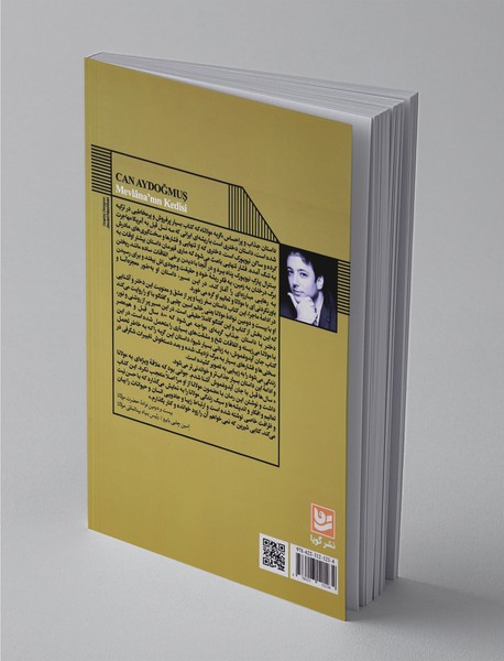 گربه مولانا