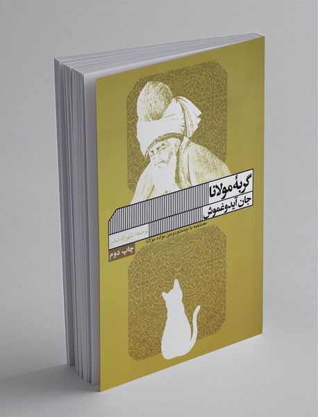 گربه مولانا