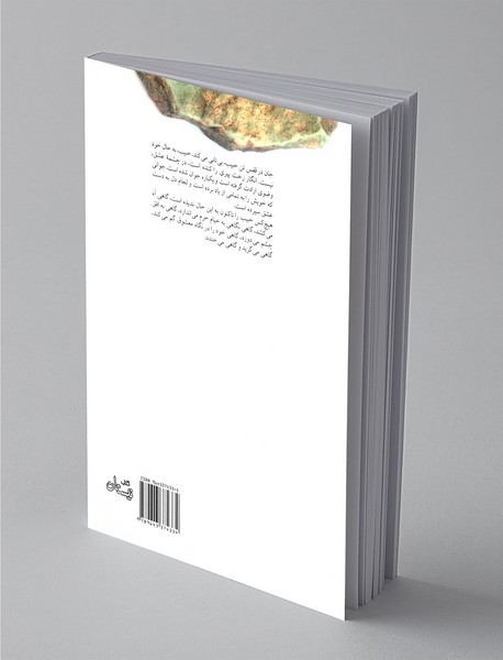 از دیار حبیب