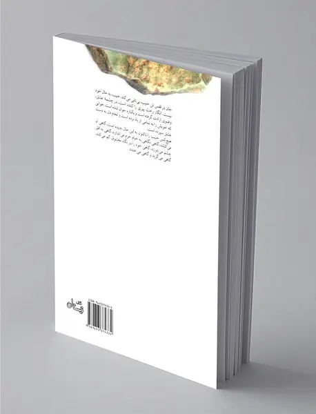 از دیار حبیب