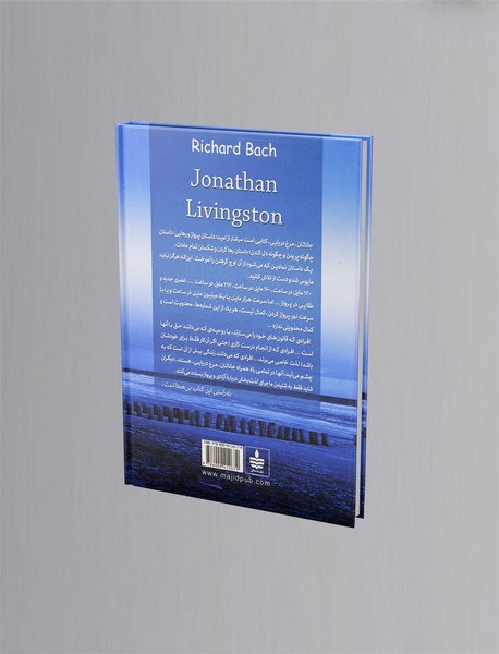 جاناتان مرغ دریایی