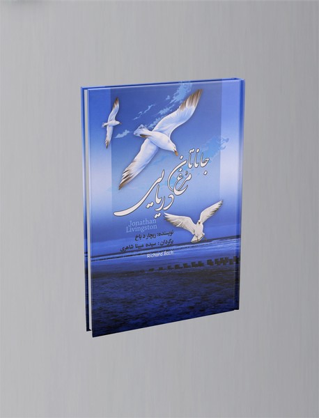 جاناتان مرغ دریایی