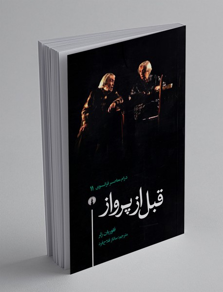 قبل از پرواز