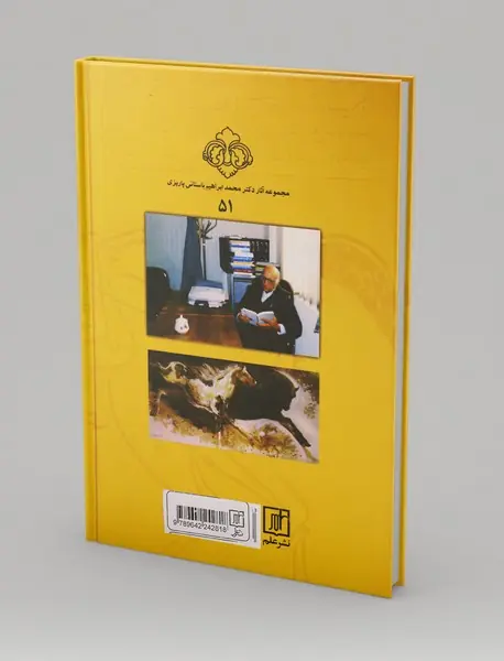 در شهر نی سواران