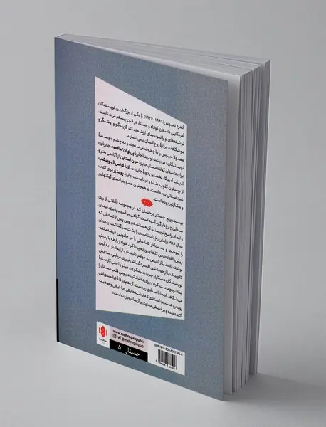 تاملاتی از روی صندلی چرخدار