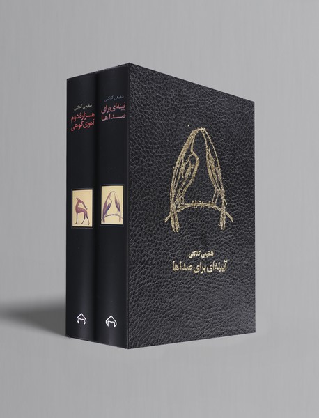 هزاره دوم آهوی کوهی/آیینه ای برای صداها