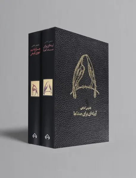 هزاره دوم آهوی کوهی/آیینه ای برای صداها