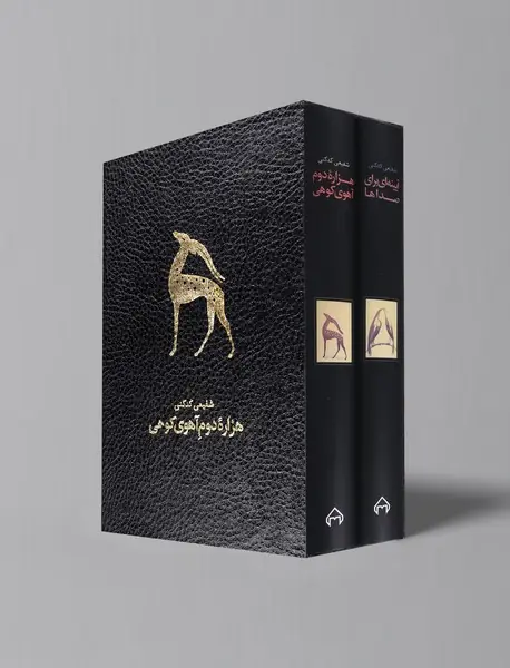 هزاره دوم آهوی کوهی/آیینه ای برای صداها