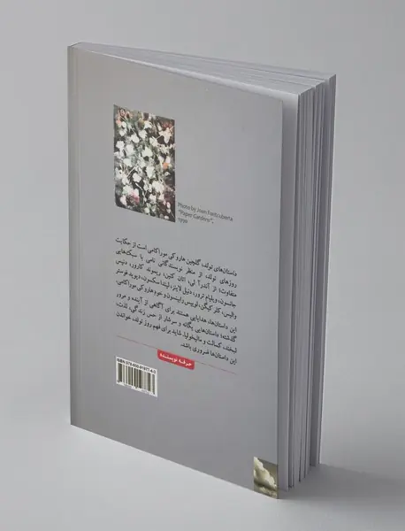 داستان‌های تولد