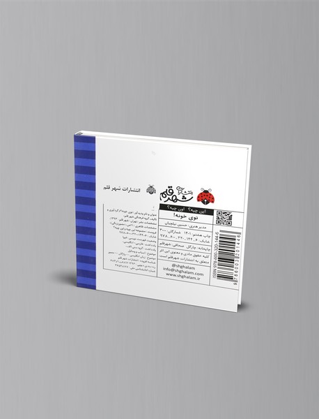 این چیه؟ اون چیه؟ : توی خونه