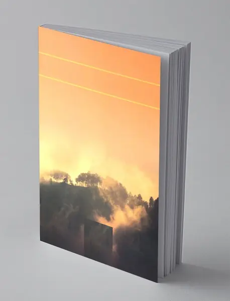 انیس آخر همین هفته می آید