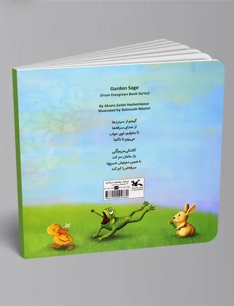 مریم گلی