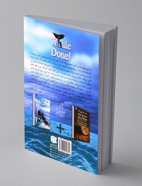 روش مدیریت ویل دان