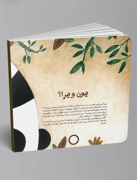 چون و چرا؟