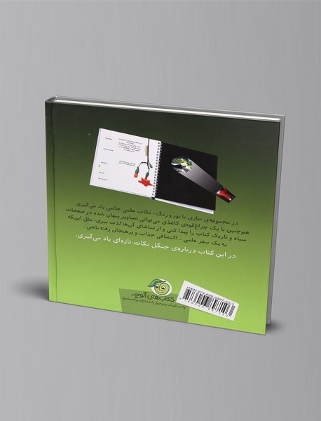 در اعماق جنگل