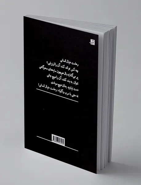 ربایش در نیمه شب