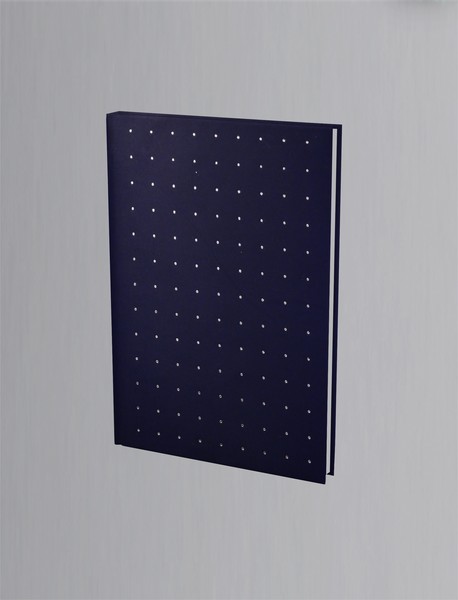 شب عاشقان بی دل