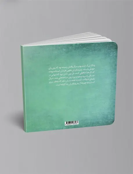 قصه‌ی پرواز پلنگ