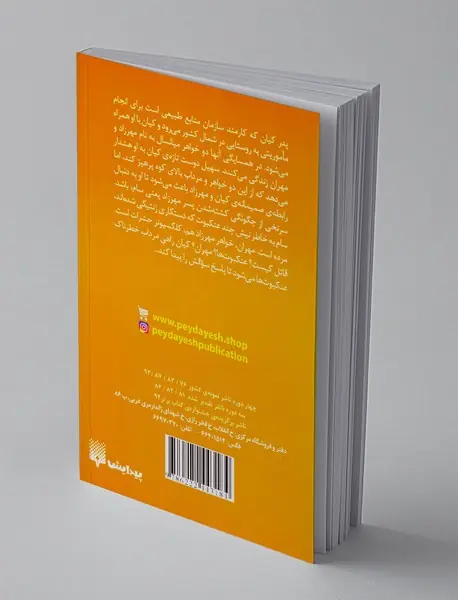 مرداب عنکبوت
