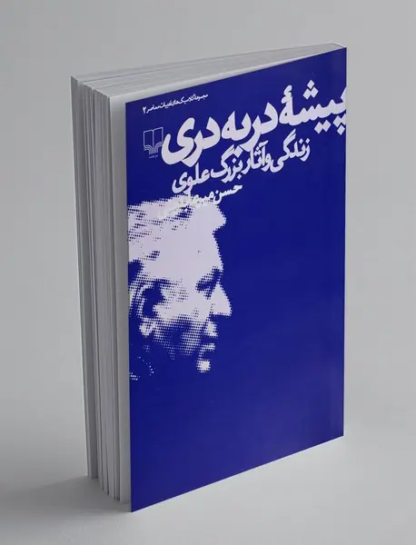 پیشه در به دری