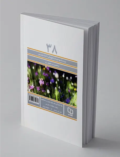 شخصیت و حقوق زن