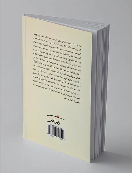 نظریه دیالکتیک اجتماعی و نقد آن