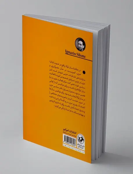 یک مشت تمشک